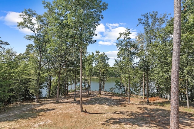 view of yard with a water view