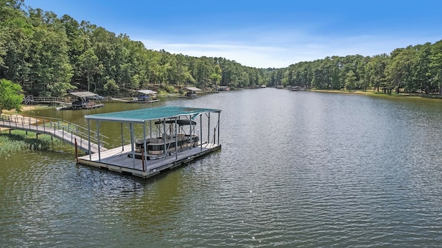 dock area with a water view