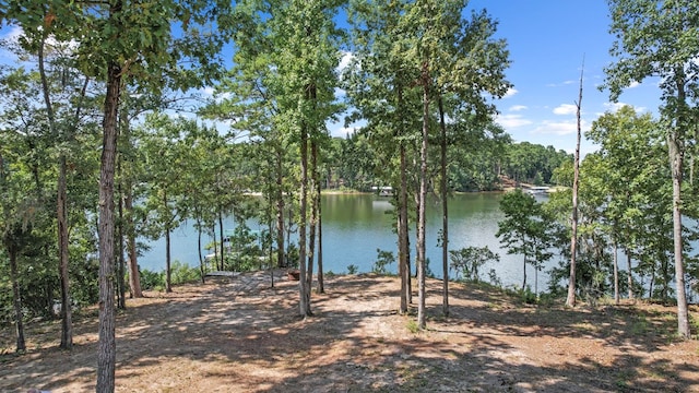 view of water feature