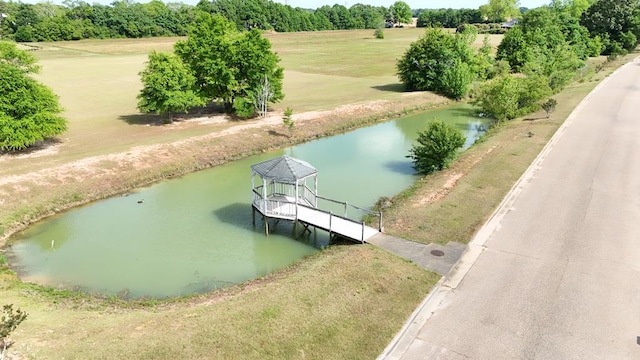 209 David Hussey Rd, Newton, AL 36352 - aerial view of a large body of water and a tree filled landscape