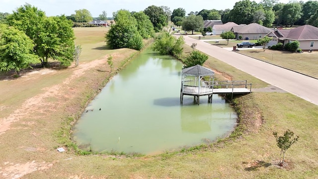 209 David Hussey Rd, Newton, AL 36352 - bird's eye view of a large body of water