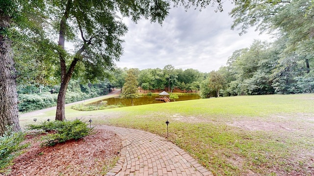 109 Buckhead Dr, Headland, AL 36345 - photo 4
