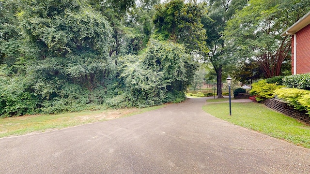 109 Buckhead Dr, Headland, AL 36345 - photo 84