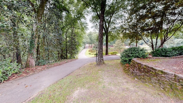 109 Buckhead Dr, Headland, AL 36345 - photo 88