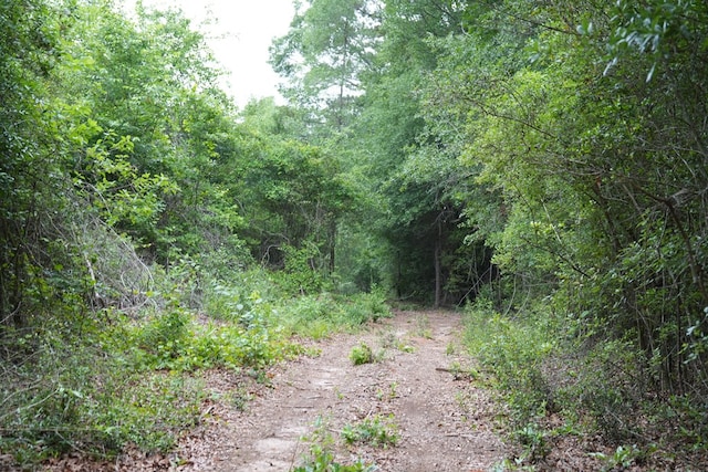 0 County Road 266, Enterprise, AL 36330 - photo 2