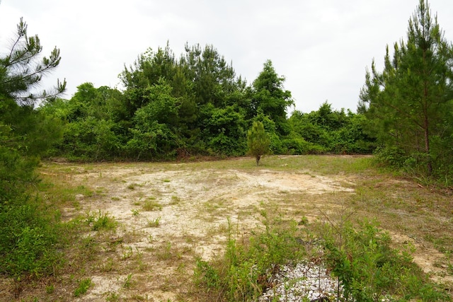 0 County Road 266, Enterprise, AL 36330 - photo 5