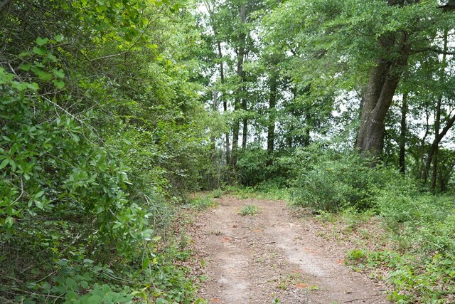 0 County Road 266, Enterprise, AL 36330 - photo 8