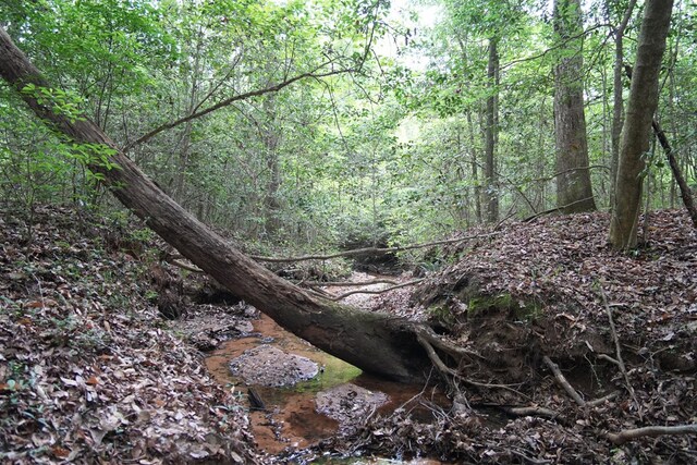 0 County Road 266, Enterprise, AL 36330 - photo 15