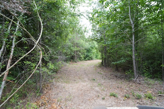 0 County Road 266, Enterprise, AL 36330 - photo 12
