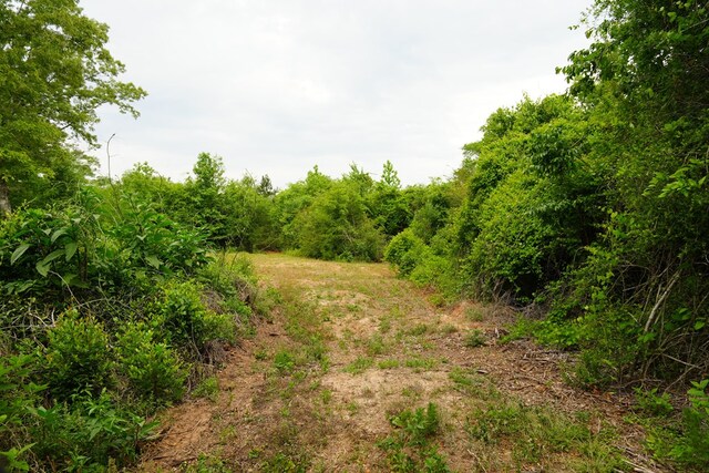 0 County Road 266, Enterprise, AL 36330 - photo 10