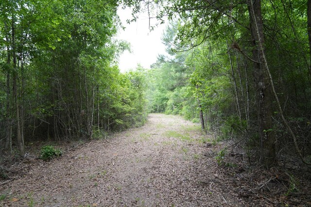 0 County Road 266, Enterprise, AL 36330 - photo 13