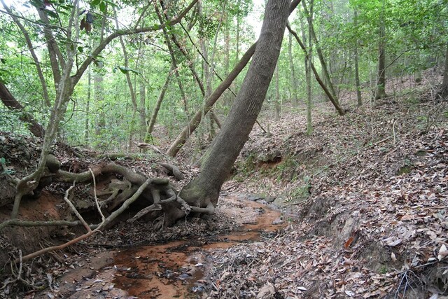 0 County Road 266, Enterprise, AL 36330 - photo 4