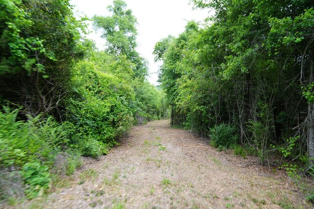 0 County Road 266, Enterprise, AL 36330 - photo 11