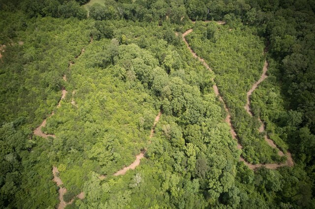 0 County Road 266, Enterprise, AL 36330 - photo 7
