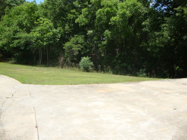 801 Early Walden Rd, Headland, AL 36345 - view of patio / terrace