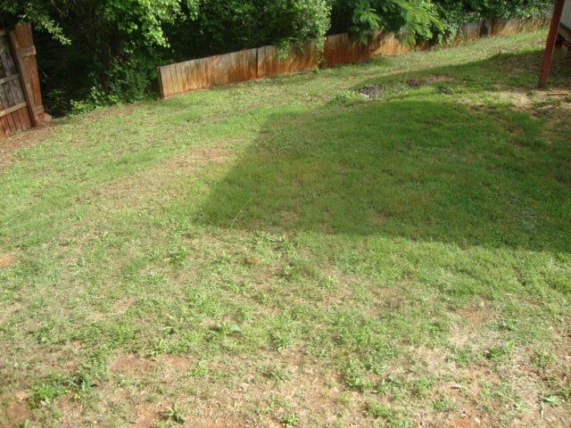 801 Early Walden Rd, Headland, AL 36345 - view of yard