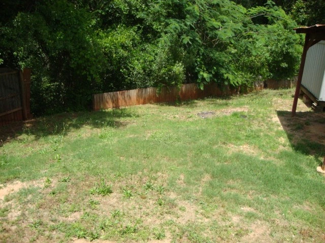 801 Early Walden Rd, Headland, AL 36345 - view of yard