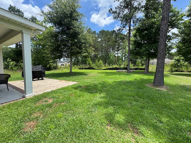 303 Courtland Dr, Dothan, AL 36301 - photo 23