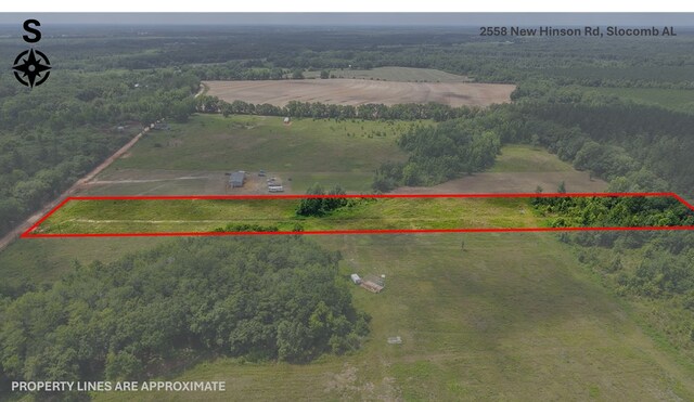 2558 New Hinson Rd, Slocomb, AL 36375