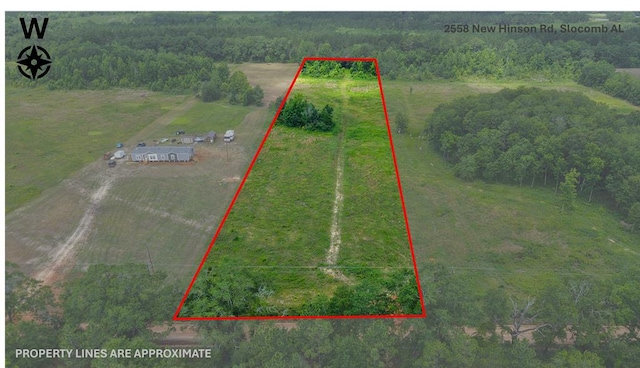 2558 New Hinson Rd, Slocomb, AL 36375
