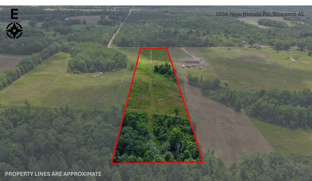 2558 New Hinson Rd, Slocomb, AL 36375