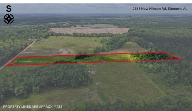 2558 New Hinson Rd, Slocomb, AL 36375