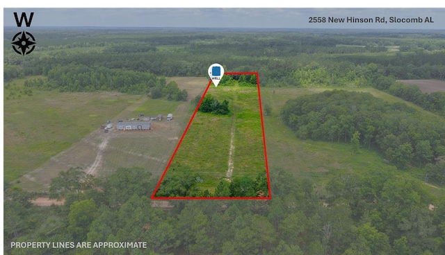 2558 New Hinson Rd, Slocomb, AL 36375