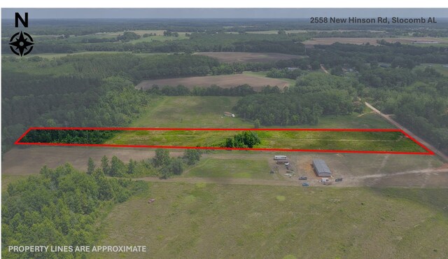 2558 New Hinson Rd, Slocomb, AL 36375