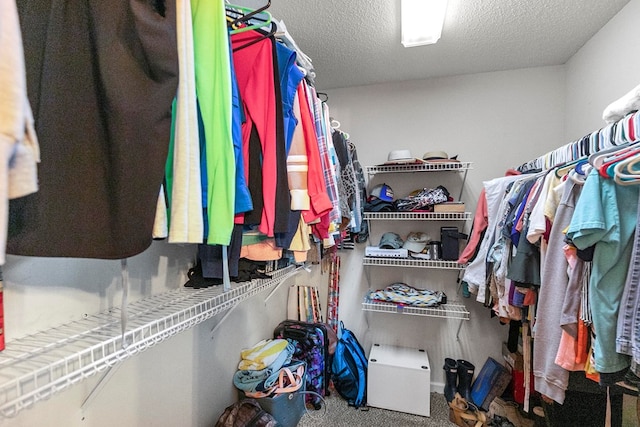 208 Willow Oaks Dr, Headland, AL 36345 - spacious closet with carpet