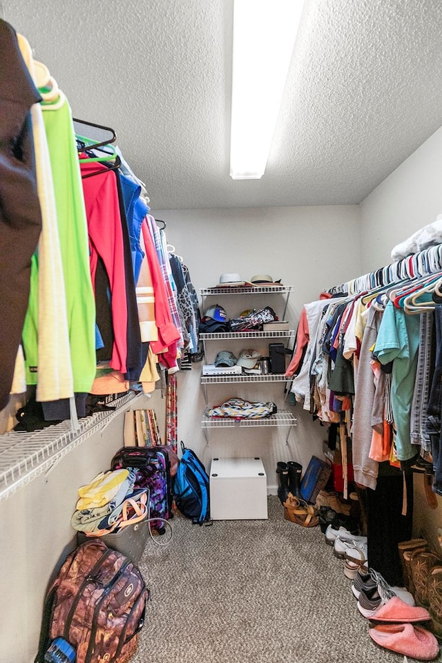 208 Willow Oaks Dr, Headland, AL 36345 - walk in closet featuring carpet floors