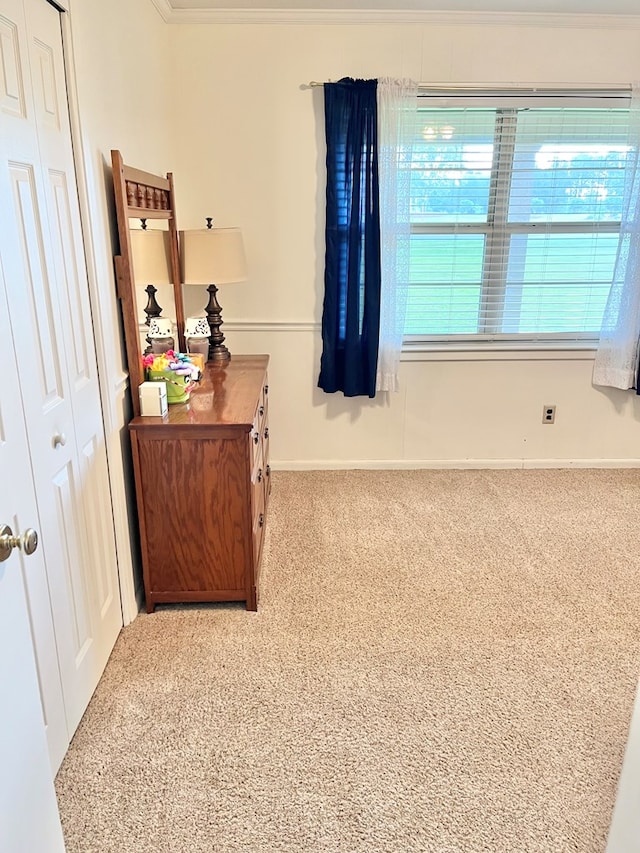 869 Bethlehem Rd, Midland City, AL 36350 - carpeted bedroom with a closet and crown molding