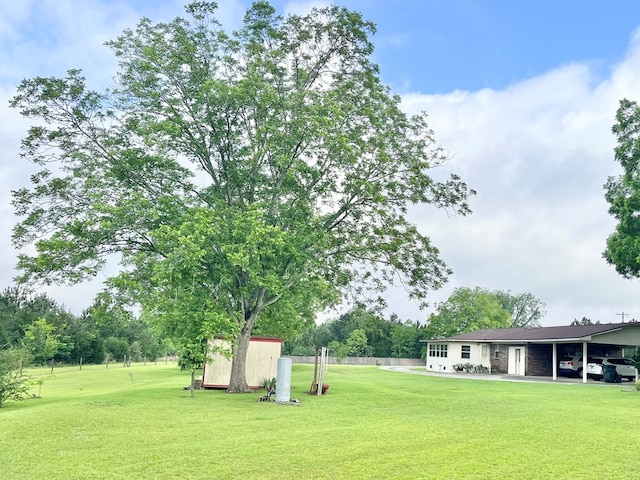 869 Bethlehem Rd, Midland City, AL 36350 - view of grassy yard featuring a storage unit