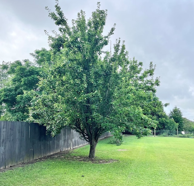 869 Bethlehem Rd, Midland City, AL 36350 - view of yard