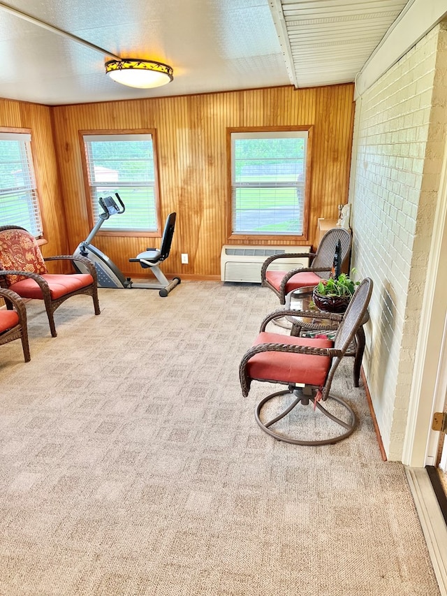 869 Bethlehem Rd, Midland City, AL 36350 - living area with plenty of natural light, carpet flooring, wood walls, and radiator heating unit