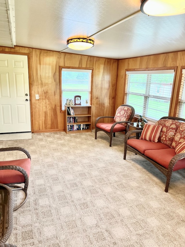 869 Bethlehem Rd, Midland City, AL 36350 - living area featuring carpet and wooden walls