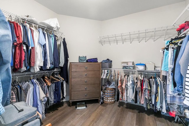 306 Halifax Dr, Dothan, AL 36305 - walk in closet with wood finished floors