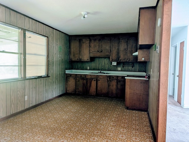 108 Imperial Dr, Eufaula, AL 36027 - kitchen featuring dark brown cabinetry, light countertops, wood walls, baseboards, and under cabinet range hood