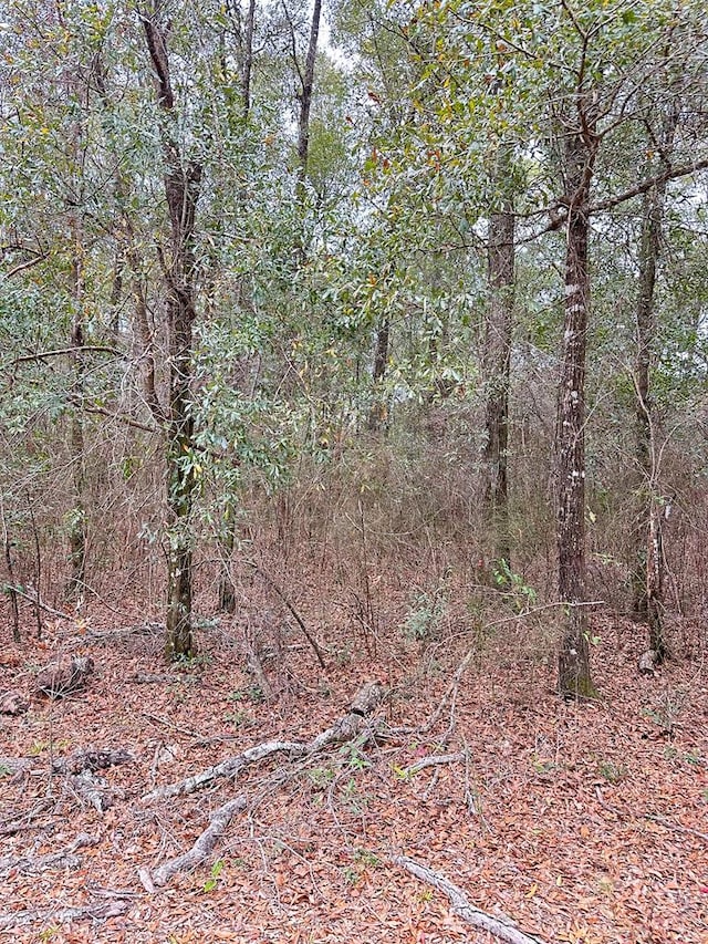 0 Ball Ln, Brewton AL, 36426 land for sale