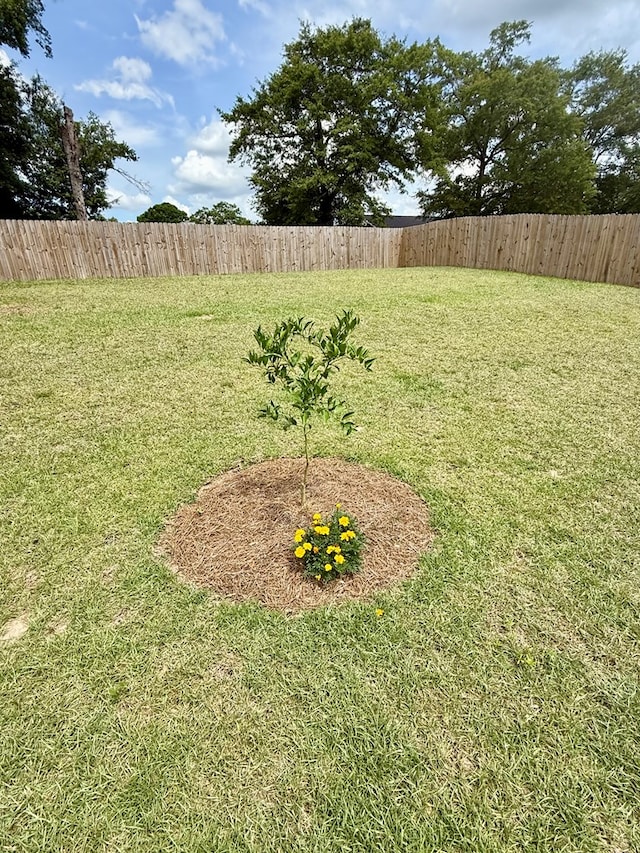 106 Sandpiper Ln, Dothan, AL 36301 - view of yard
