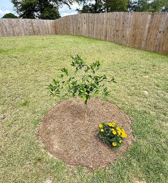106 Sandpiper Ln, Dothan, AL 36301 - view of yard