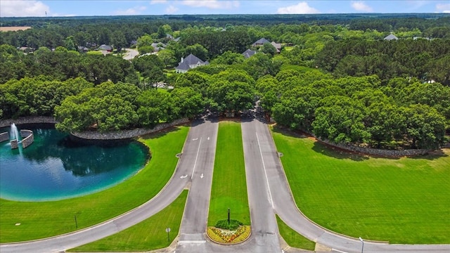 108 Haddington Park Ln, Dothan, AL 36305 - drone / aerial view of a heavily wooded area