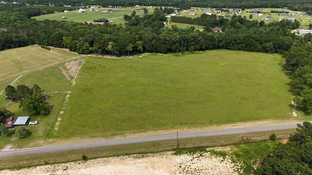 LOT6BLOCKA County Road 20, Headland, AL 36345 - photo 3