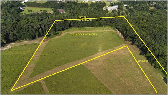 LOT6BLOCKA County Road 20, Headland, AL 36345 - photo 1
