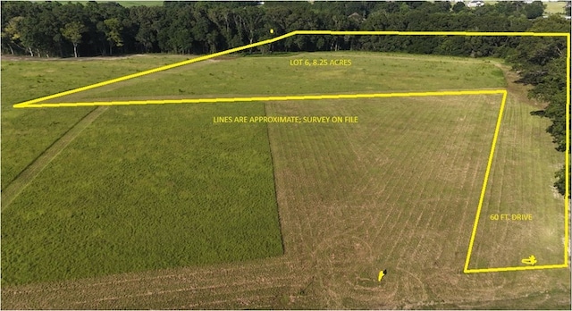 LOT6BLOCKA County Road 20, Headland, AL 36345 - photo 2