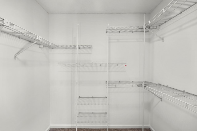 view of walk in closet