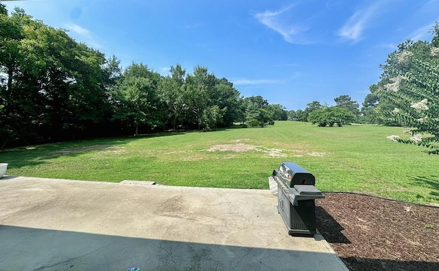 view of yard featuring a patio