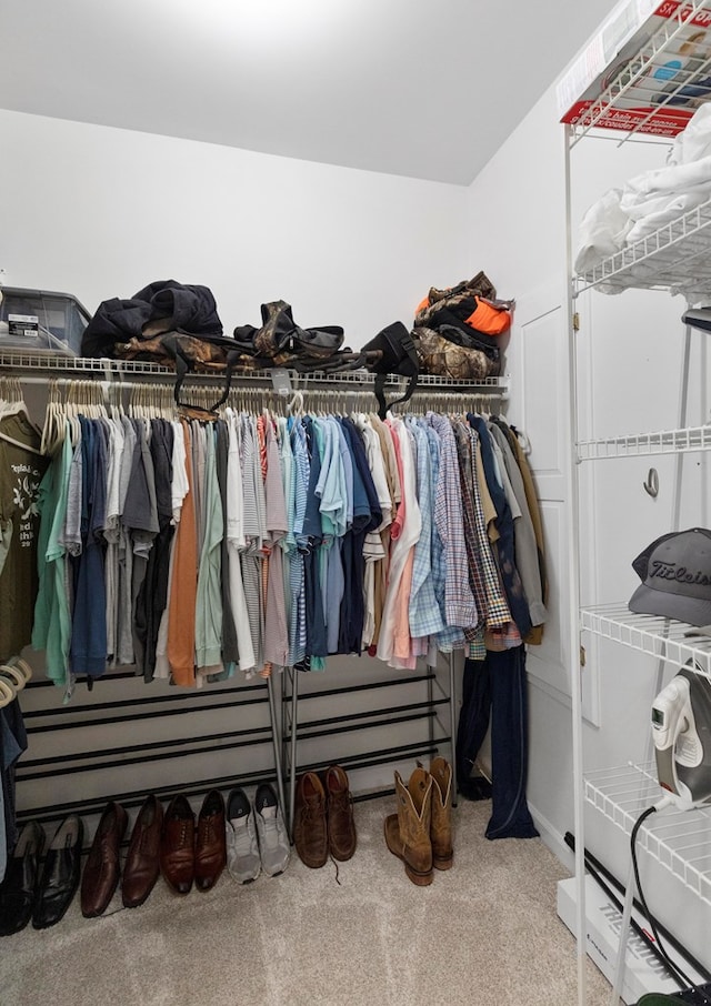 spacious closet with carpet