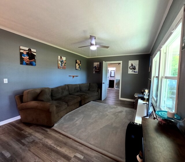 living room with crown molding, dark hardwood / wood-style floors, and ceiling fan