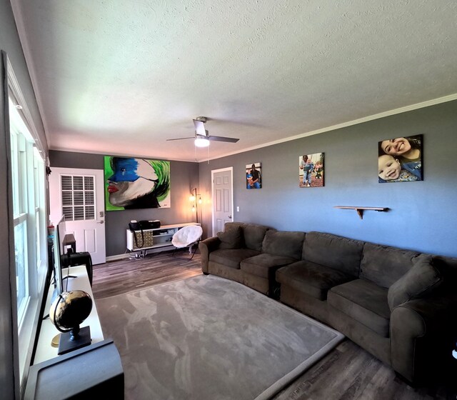 living room featuring ceiling fan, ornamental molding, hardwood / wood-style floors, and a textured ceiling