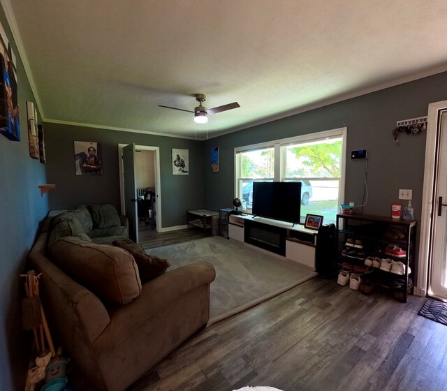 living room featuring hardwood / wood-style flooring, ceiling fan, and ornamental molding